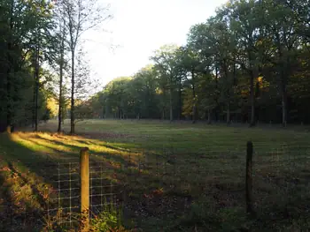 Vagevuurbos en Lippensgoed-Bulskampveld (België)